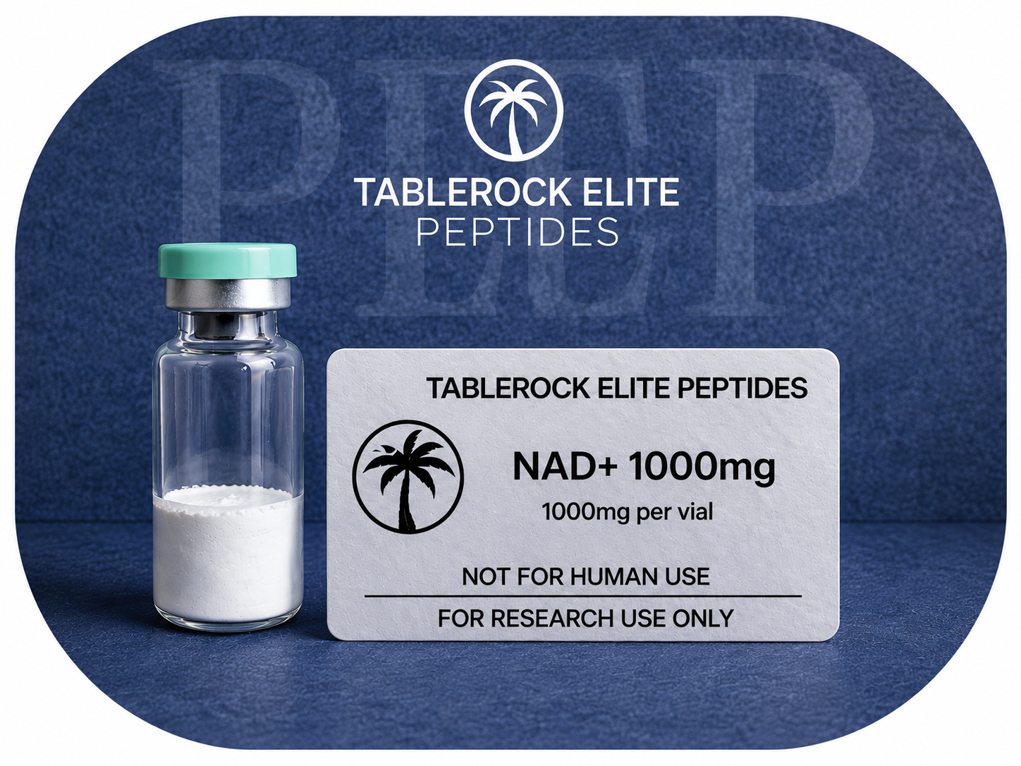NAD+ – 1000 mg – Research Compound